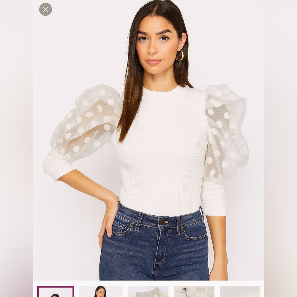 NWT design volume sleeve organza